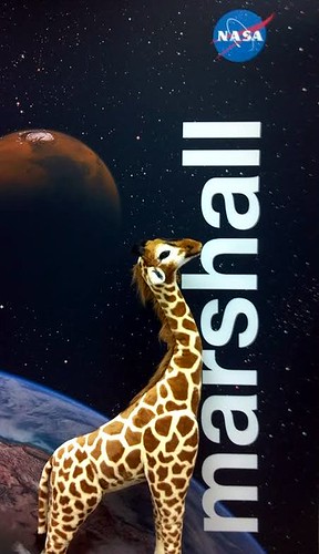 Why Are We Posting a Giraffe? (NASA, Marshall, 05/21/14)